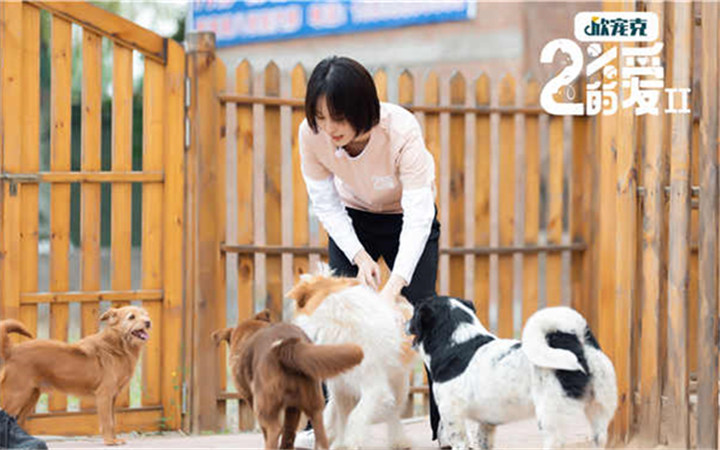 《百分之二的爱2》上星北京卫视 成果用爱守护流浪动物